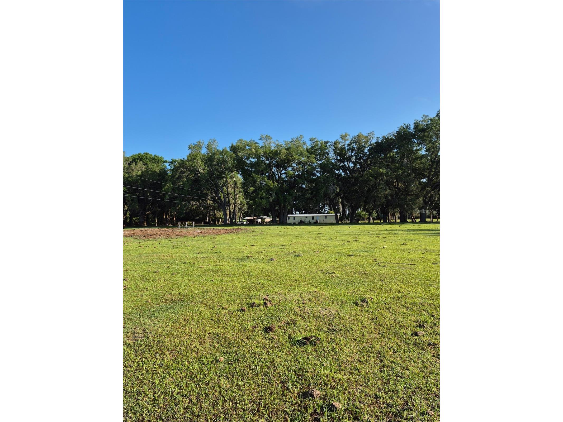 4351 NW 76th Court Chiefland FL 32626 GC538479 image9