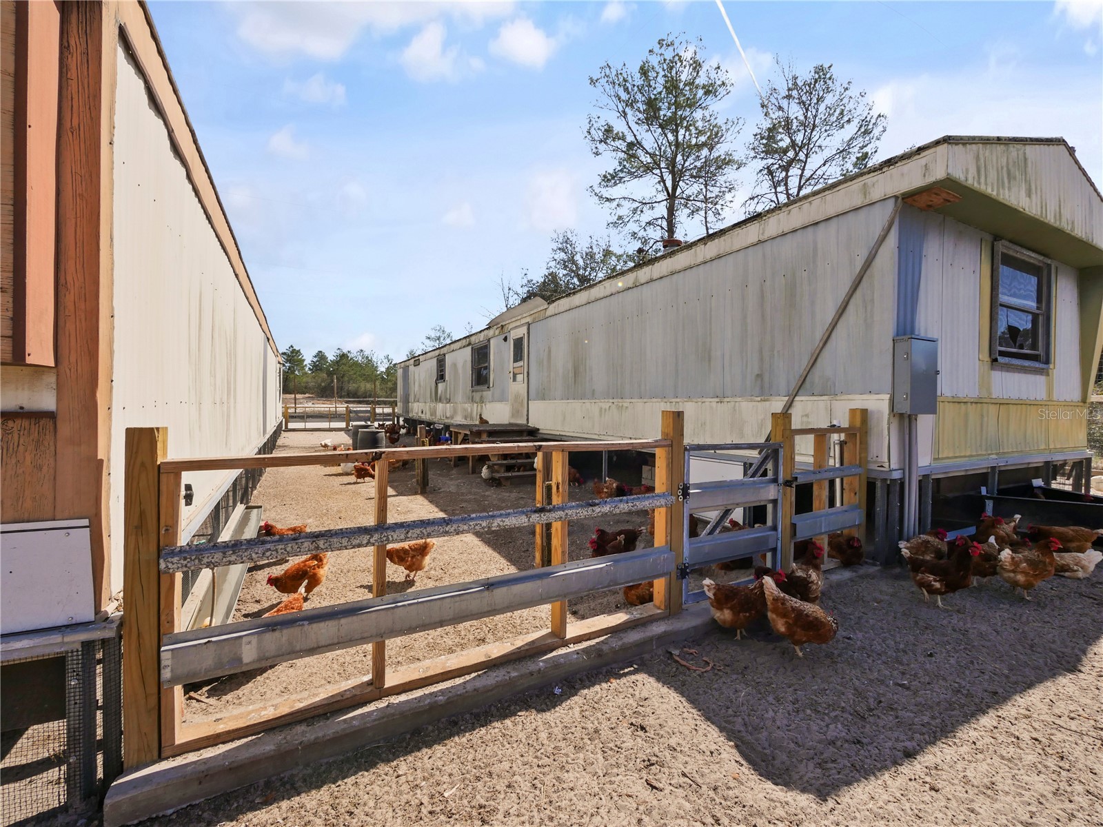 43512 Bear Lake Boulevard Deland FL 32720 O6386498 image48