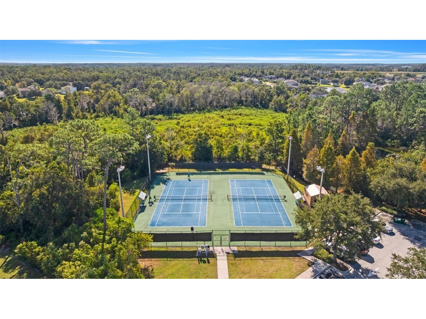 4352 English Turn Way Wesley Chapel FL 33543 C7518153 image53