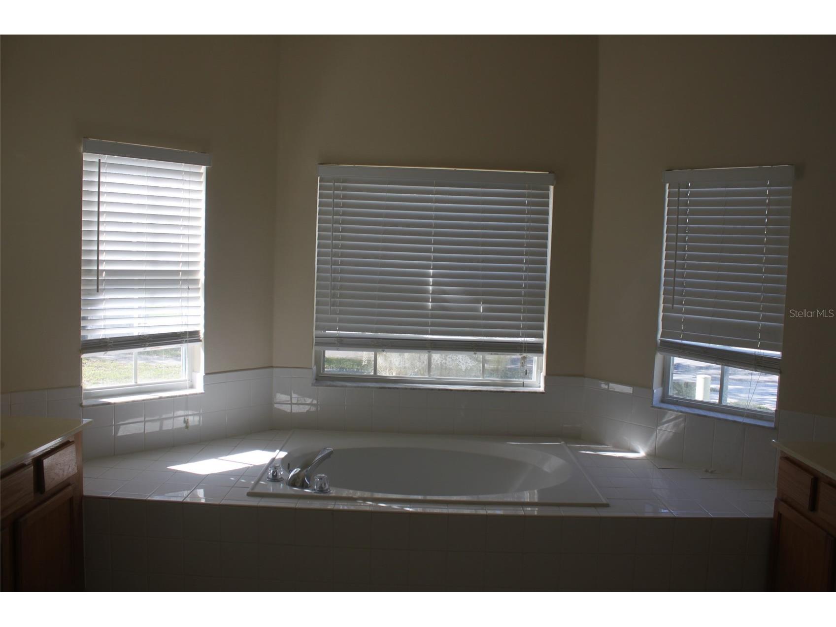 4352 Fox Glen Loop Kissimmee FL 34746 O6410390 image18