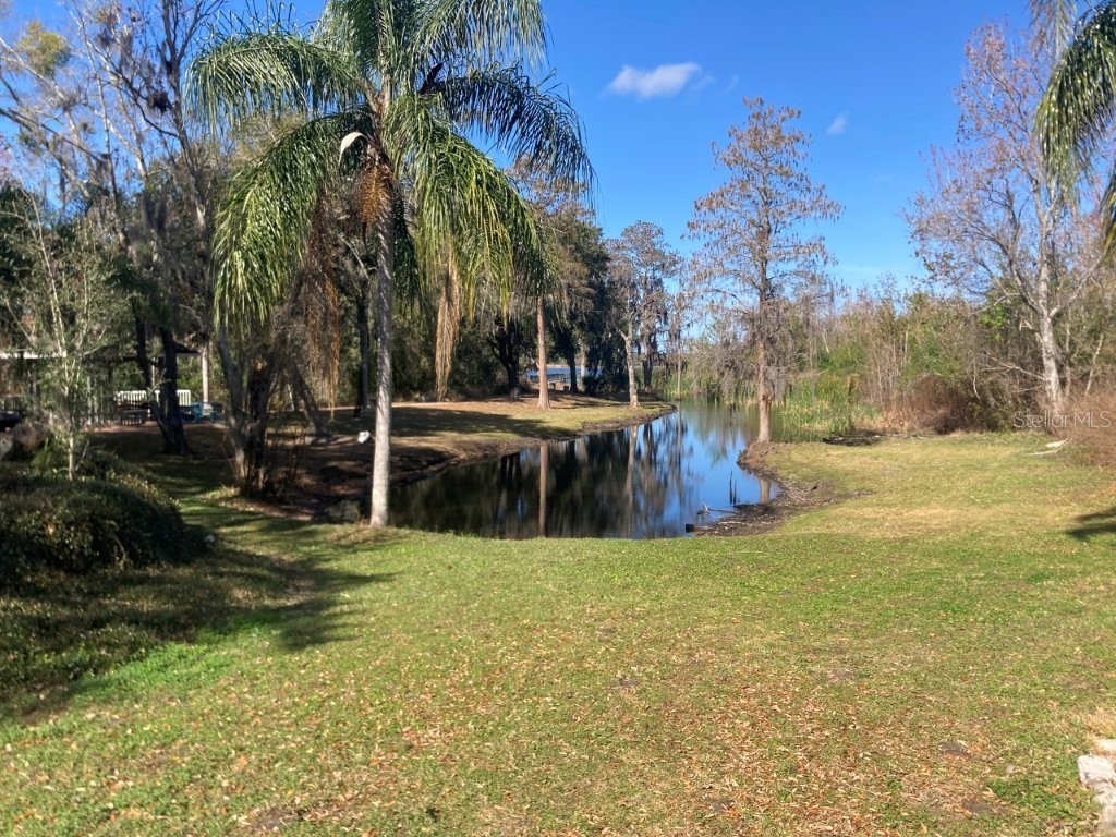 4352 S Kirkman Road #1211 Orlando FL 32811 O6380409 image21