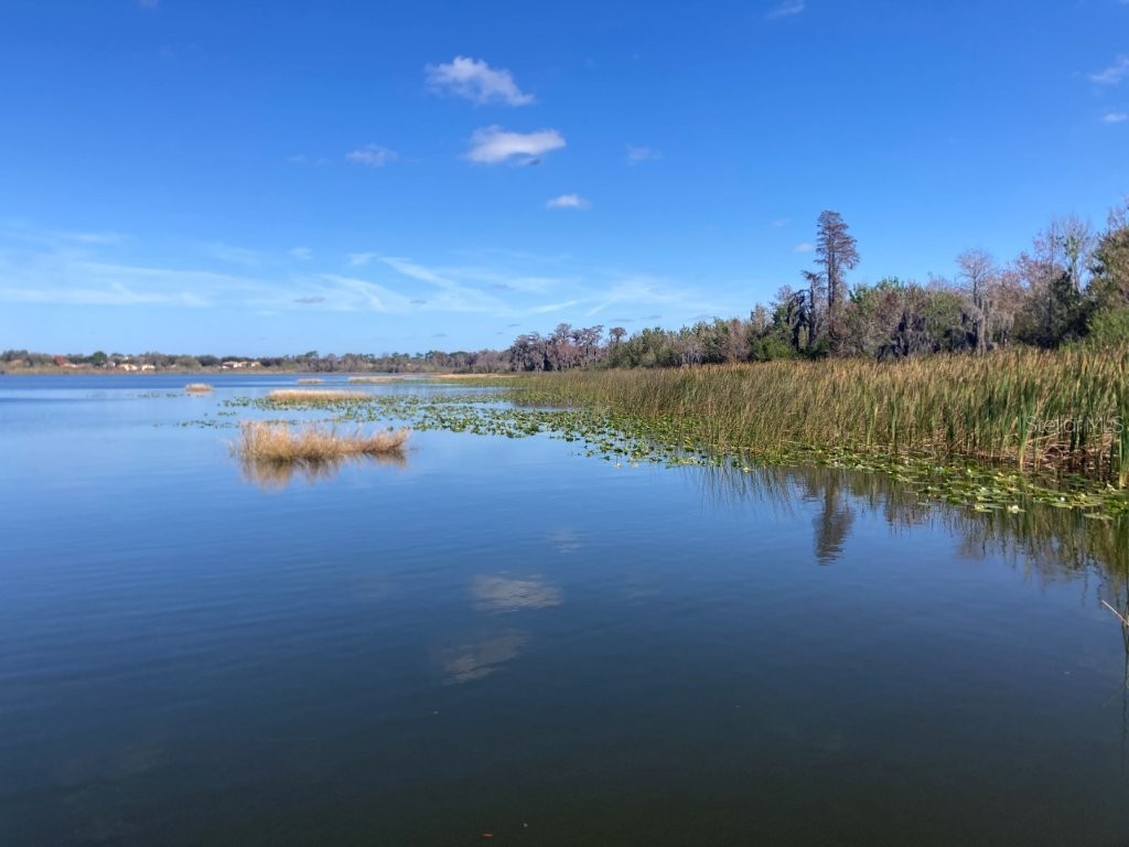 4352 S Kirkman Road #1211 Orlando FL 32811 O6380409 image26