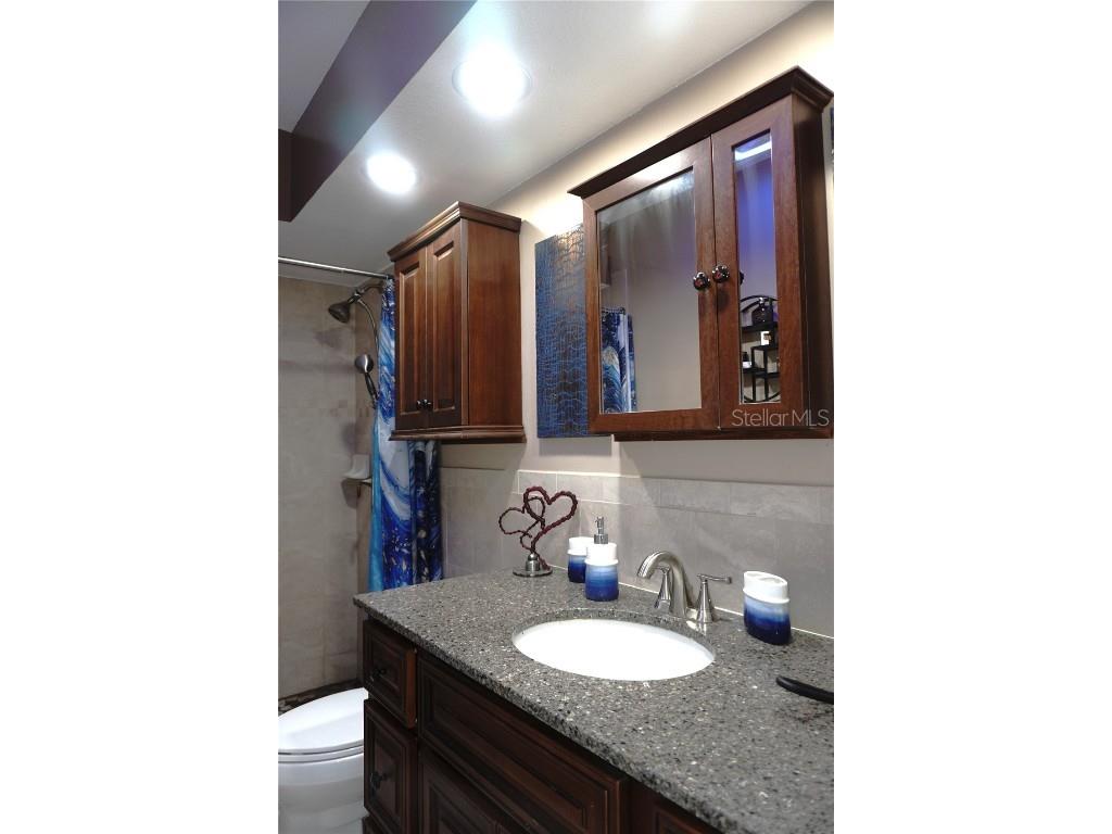 4352 Tahitian Gardens Circle #M Holiday FL 34691 TB8416218 image31