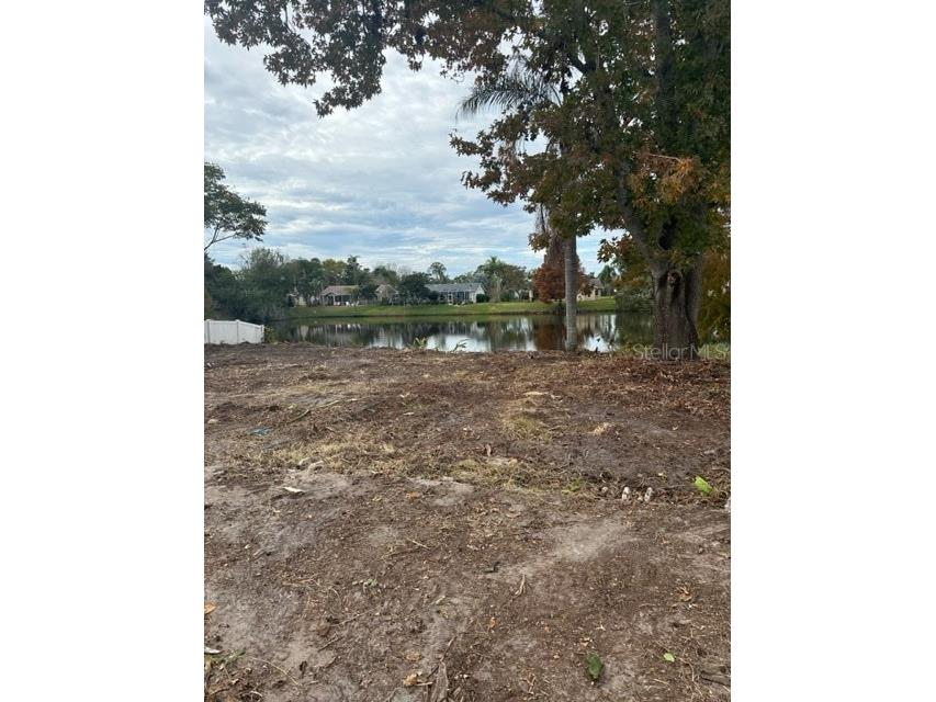 4353 County Breeze Drive New Port Richey FL 34653 U8175402 image1