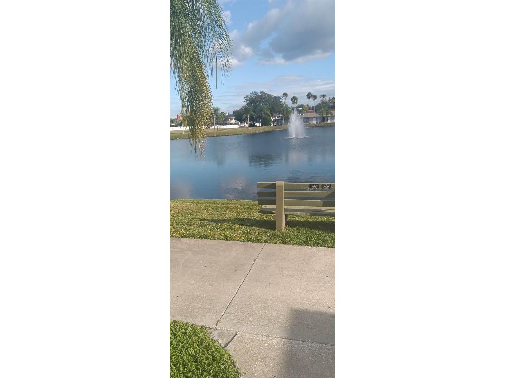 4354 Tahitian Gardens Circle #F Holiday FL 34691 W7881133 image3