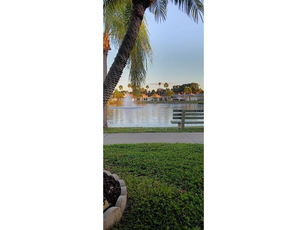 4354 Tahitian Gardens Circle #F Holiday FL 34691 W7881133 image4