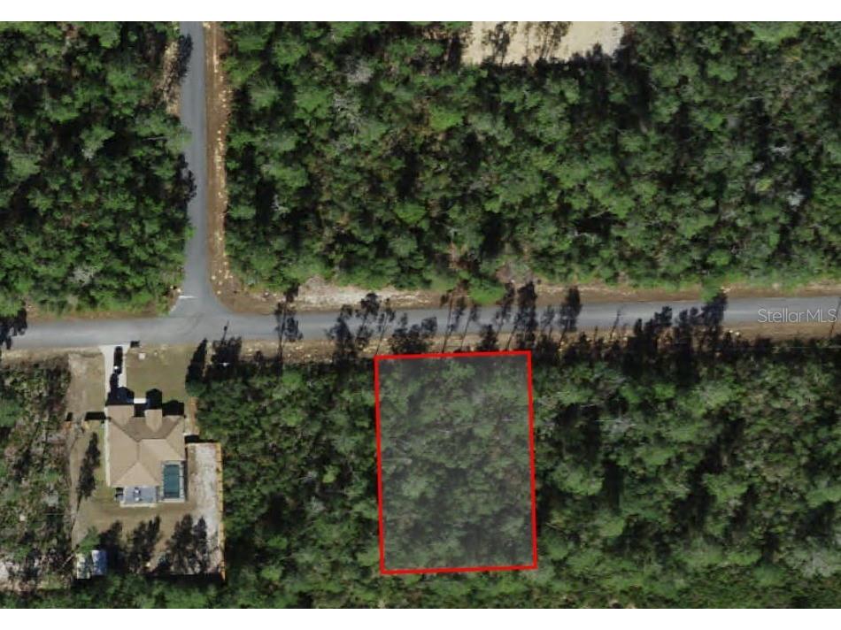 4354 W Findlay Street Citrus Springs FL 34433 O6355351 image1