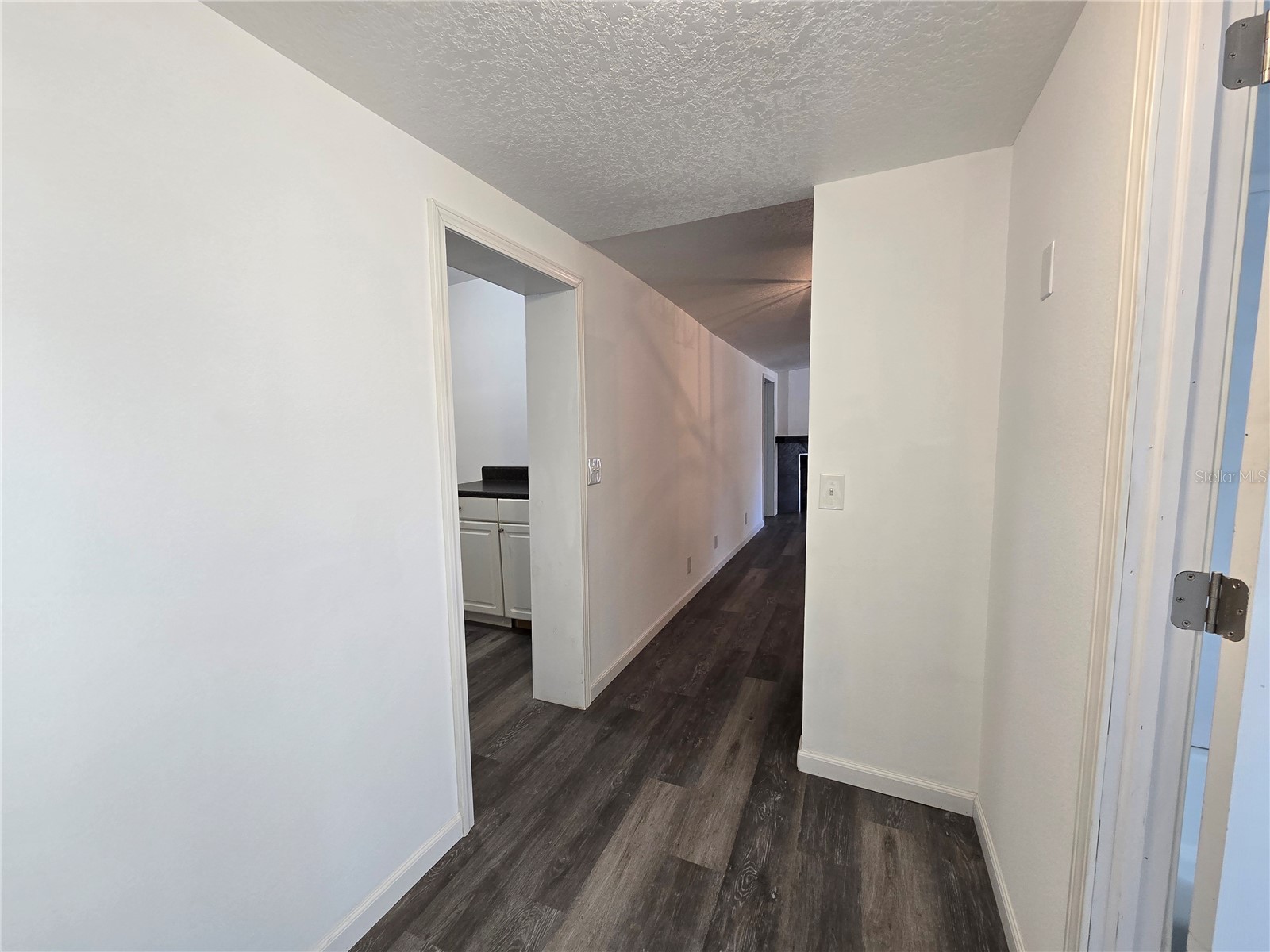 43541 Dixie Drive Paisley FL 32767 R4910596 image19