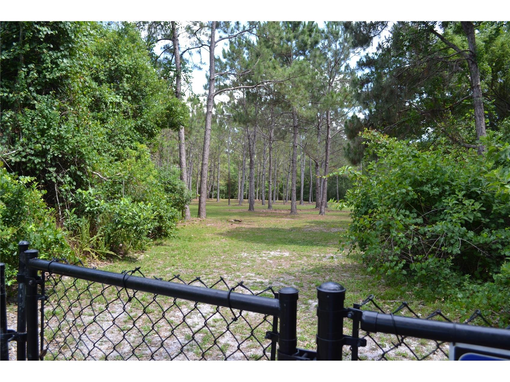 4355 Watermill Avenue Orlando FL 32817 O6404946 image47