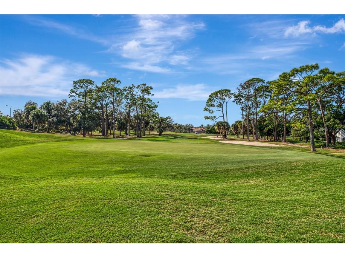 4356 Camino Madera Sarasota FL 34238 D6145024 image65