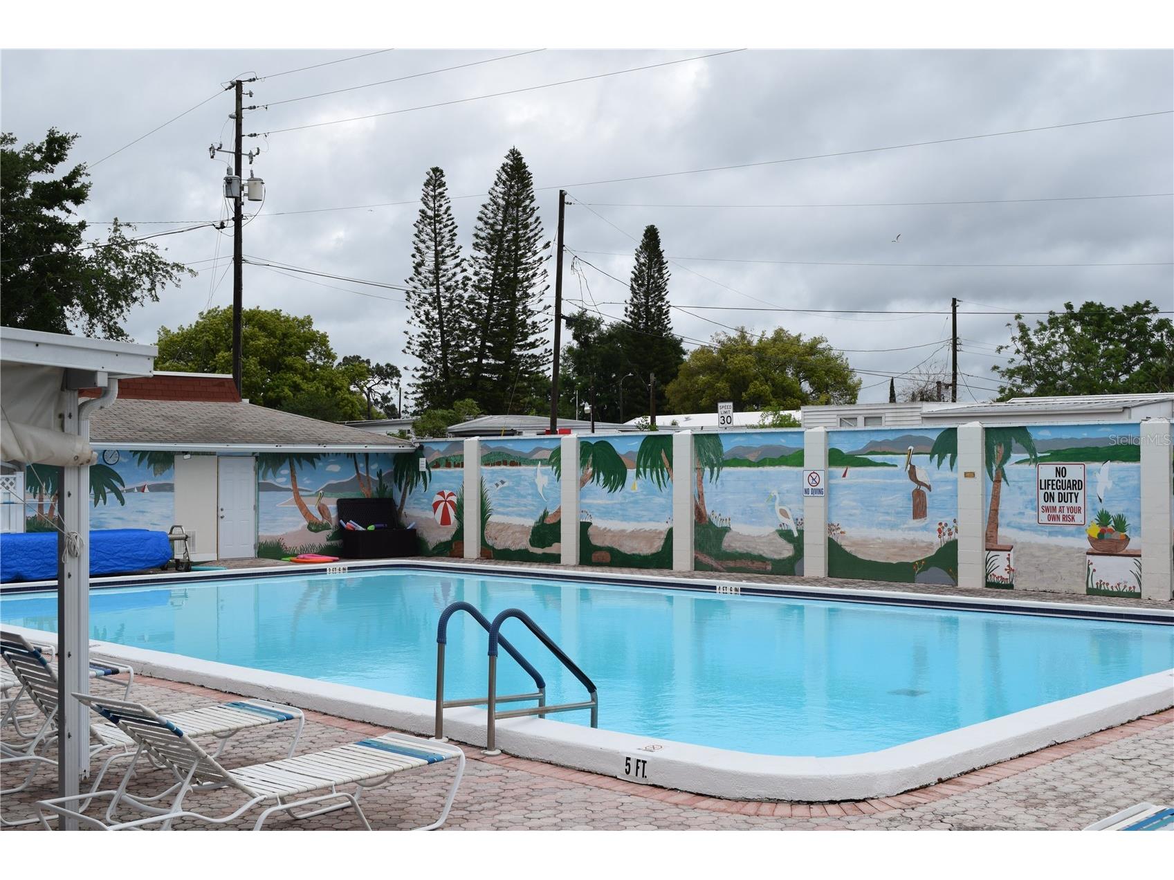 4357 Tahitian Gardens Circle #E Holiday FL 34691 TB8494740 image13
