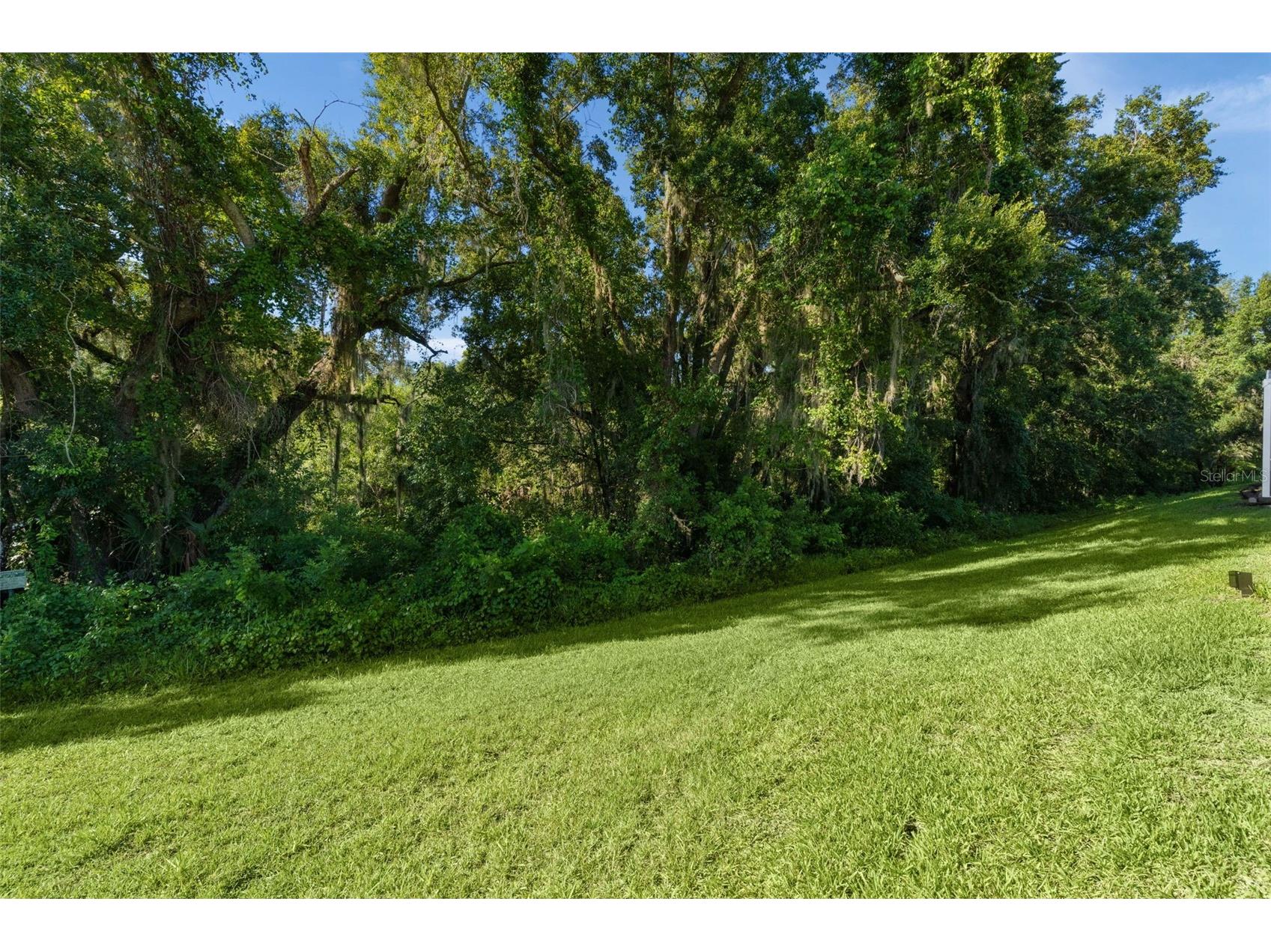 4358 Antietam Creek Trail Leesburg FL 34748 G5114701 image44