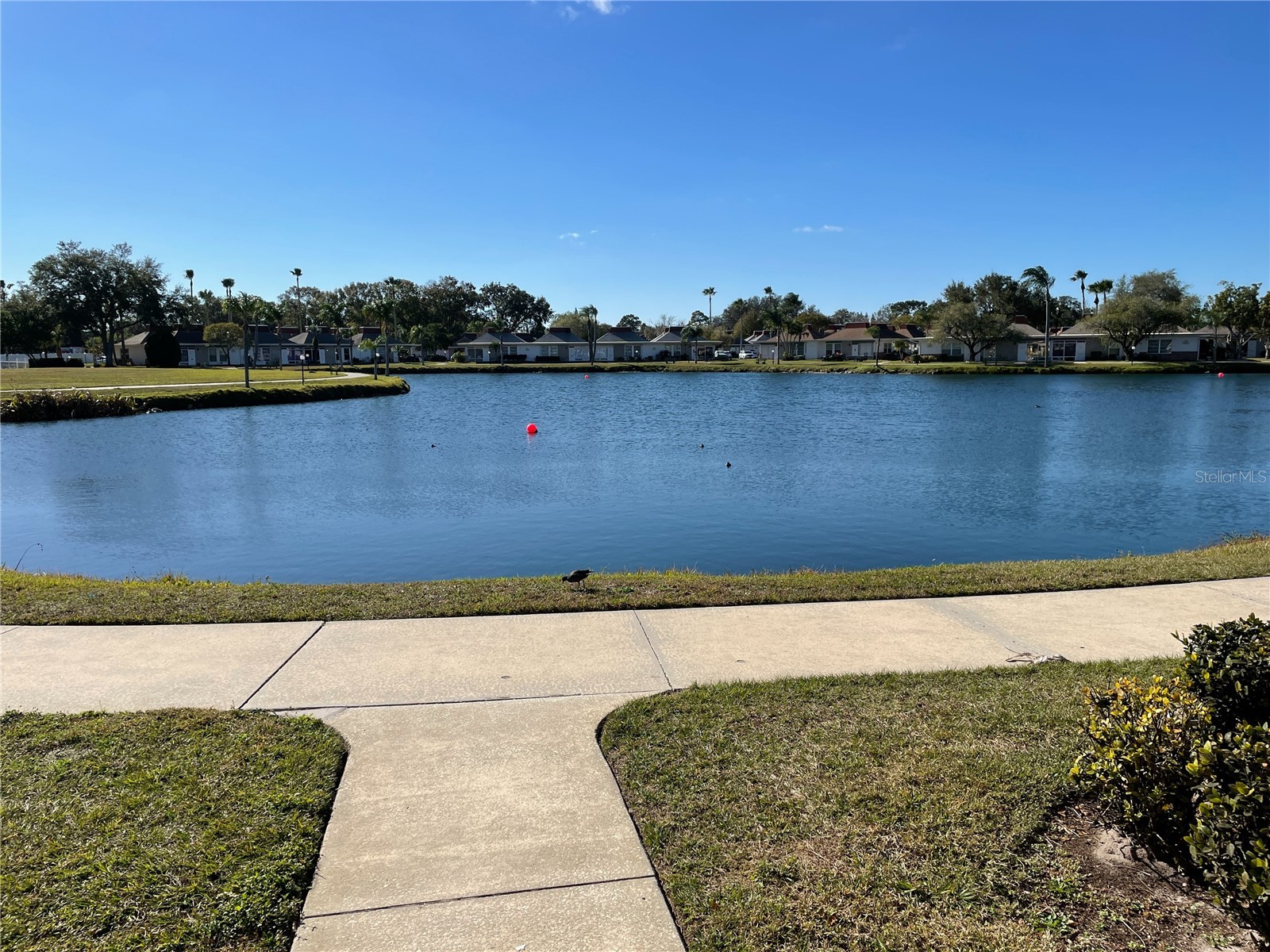 4358 Tahitian Gardens Circle #G Holiday FL 34691 W7886013 image1
