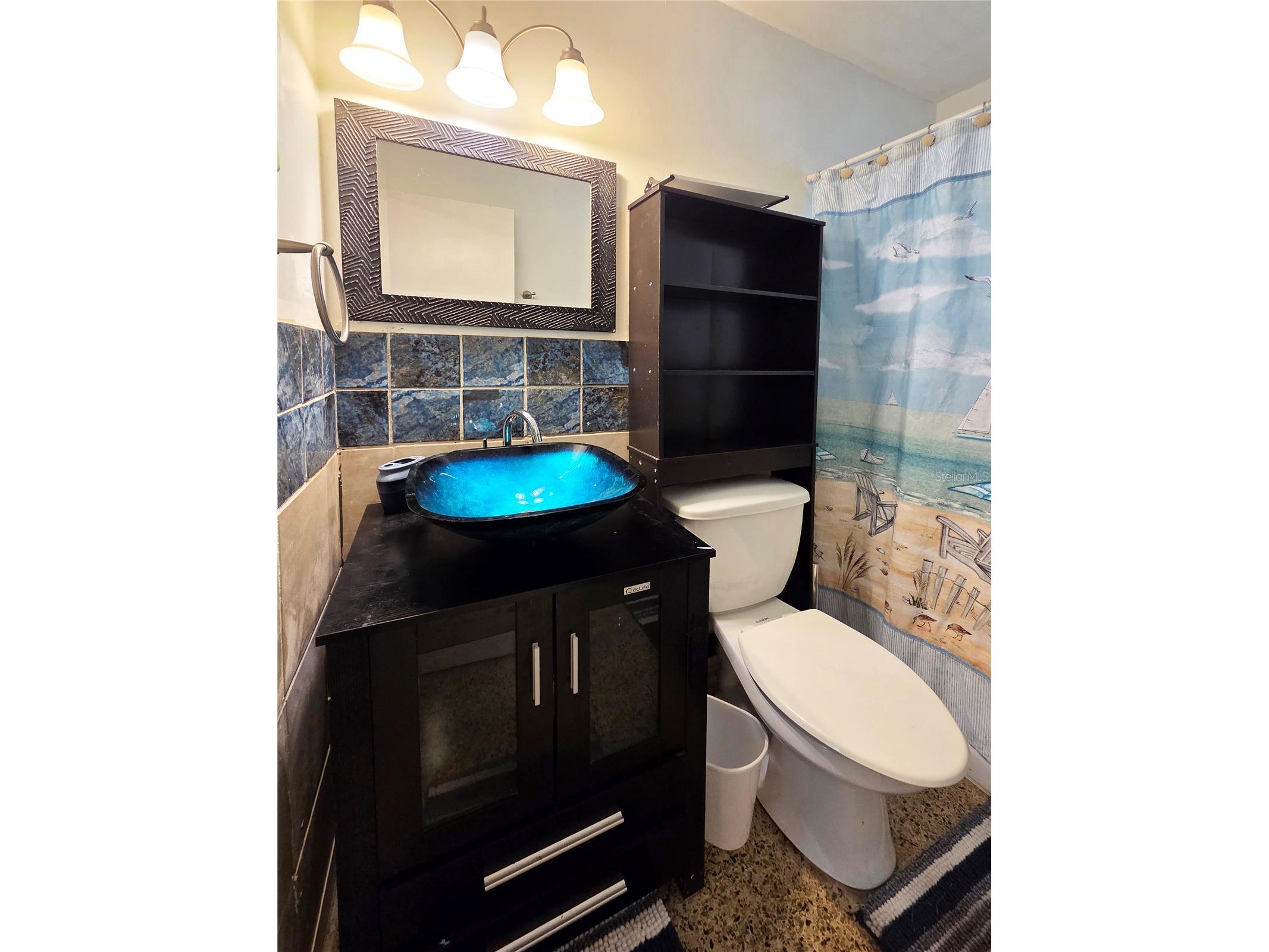 436 57th Street N Saint Petersburg FL 33710 TB8514385 image15