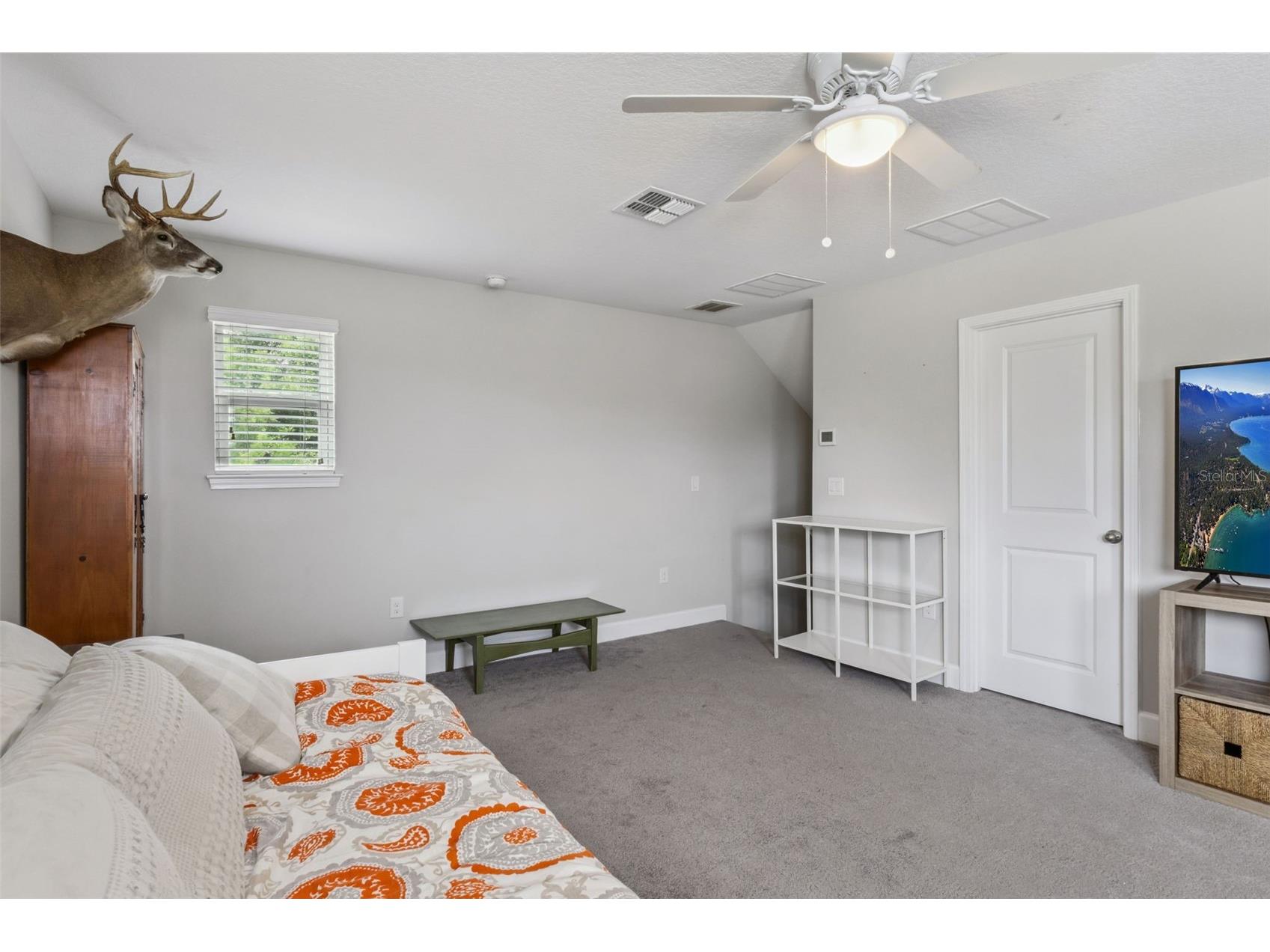 436 Bellissimo Place Howey In The Hills FL 34737 O6407951 image22