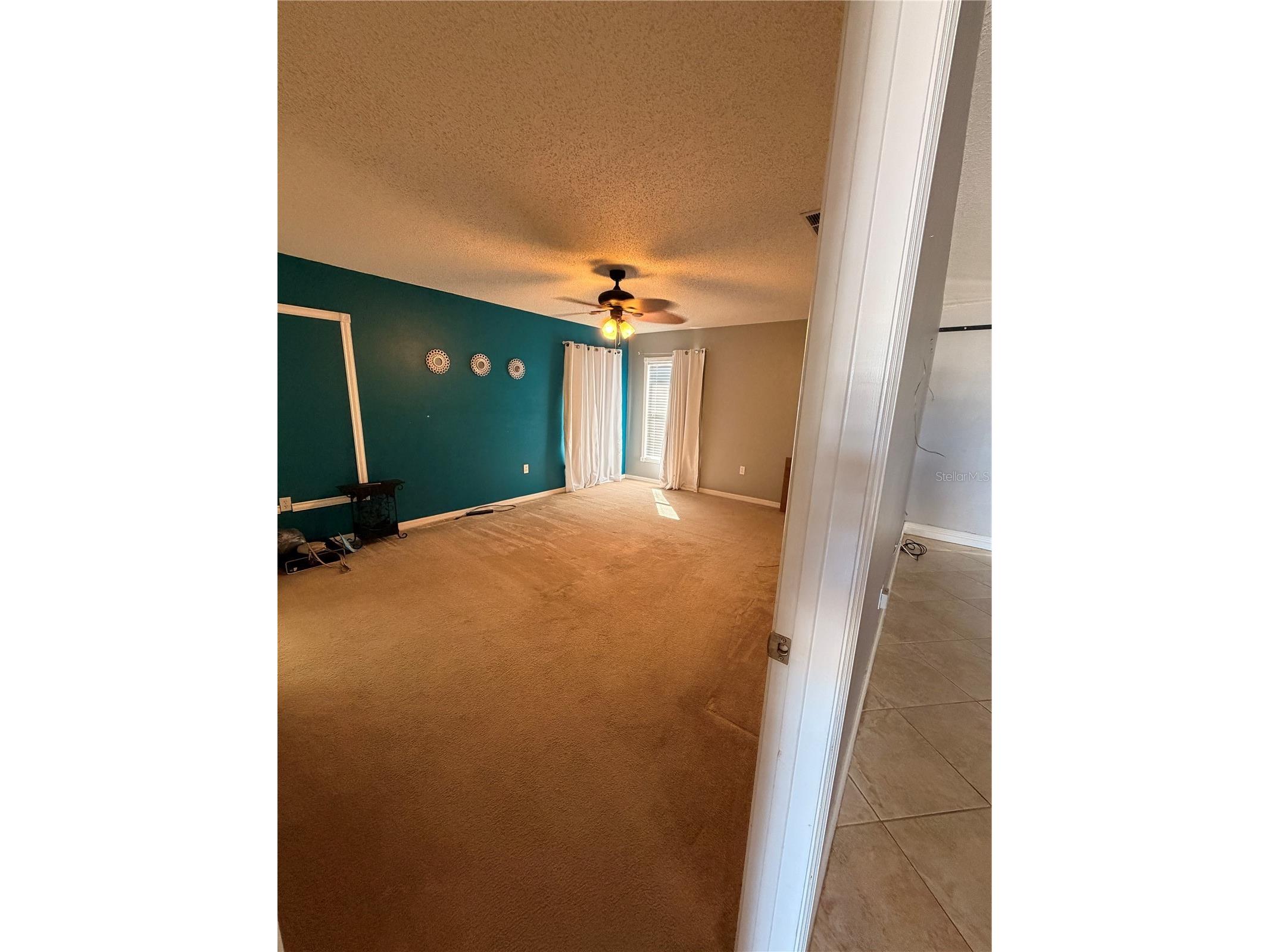 436 Bloomfield Drive Kissimmee FL 34758 S5144432 image13
