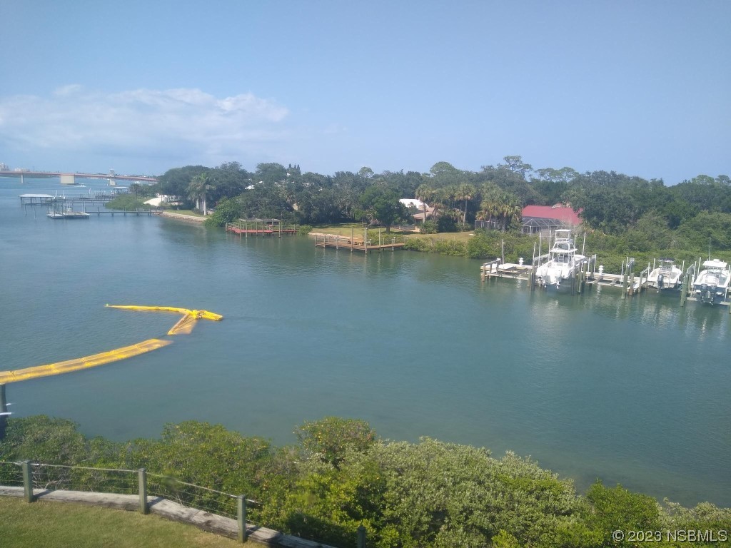 436 Bouchelle Drive #303 New Smyrna Beach FL 32169 NS1077378 image1