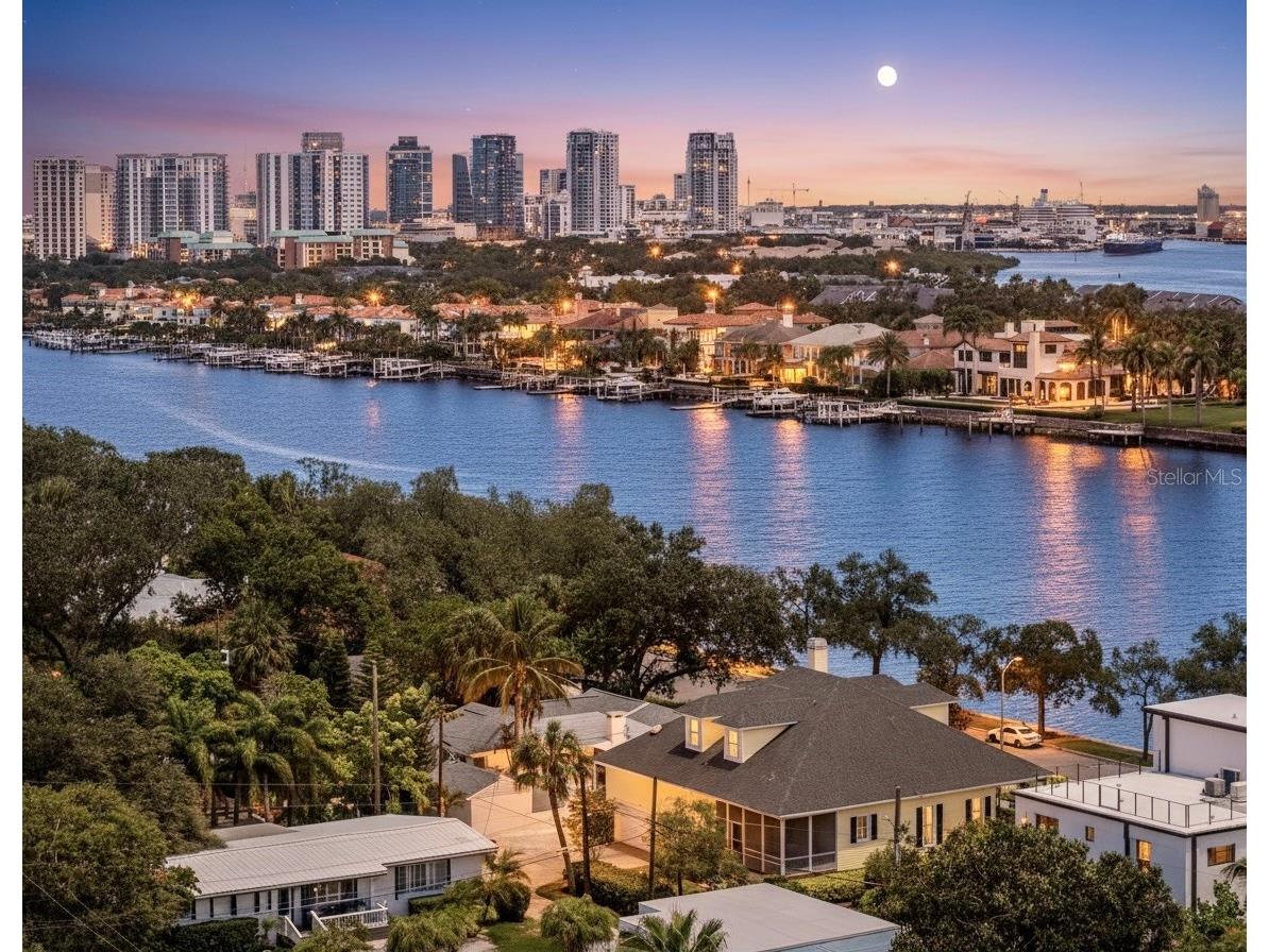 436 Channel Drive Tampa FL 33606 - SEDDON CHANNEL TB8418906 image1