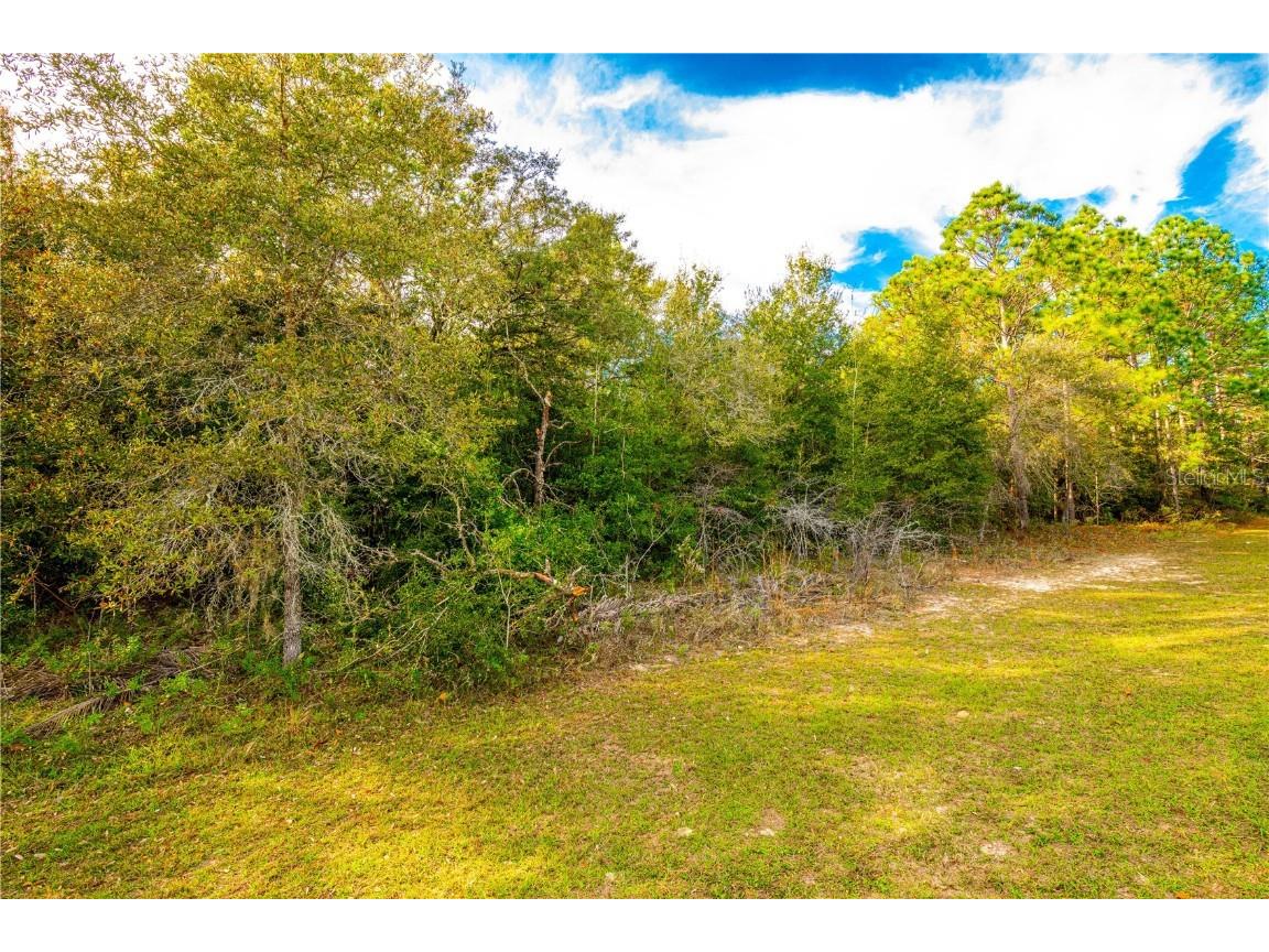 436 E Marlow Place Citrus Springs FL 34434 T3418847 image1