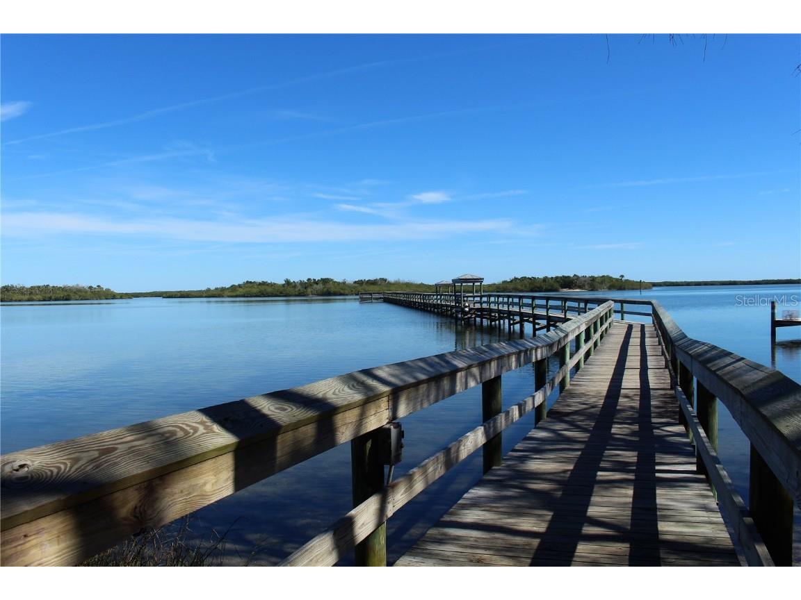 436 Eldora Drive Oak Hill FL 32759 NS1084569 image44