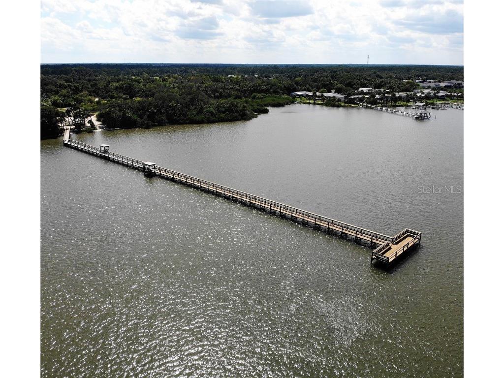 436 Eldora Drive Oak Hill FL 32759 NS1084569 image48