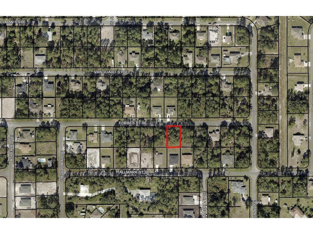 436 Forbes Street SE Palm Bay FL 32909 OM676968 image2