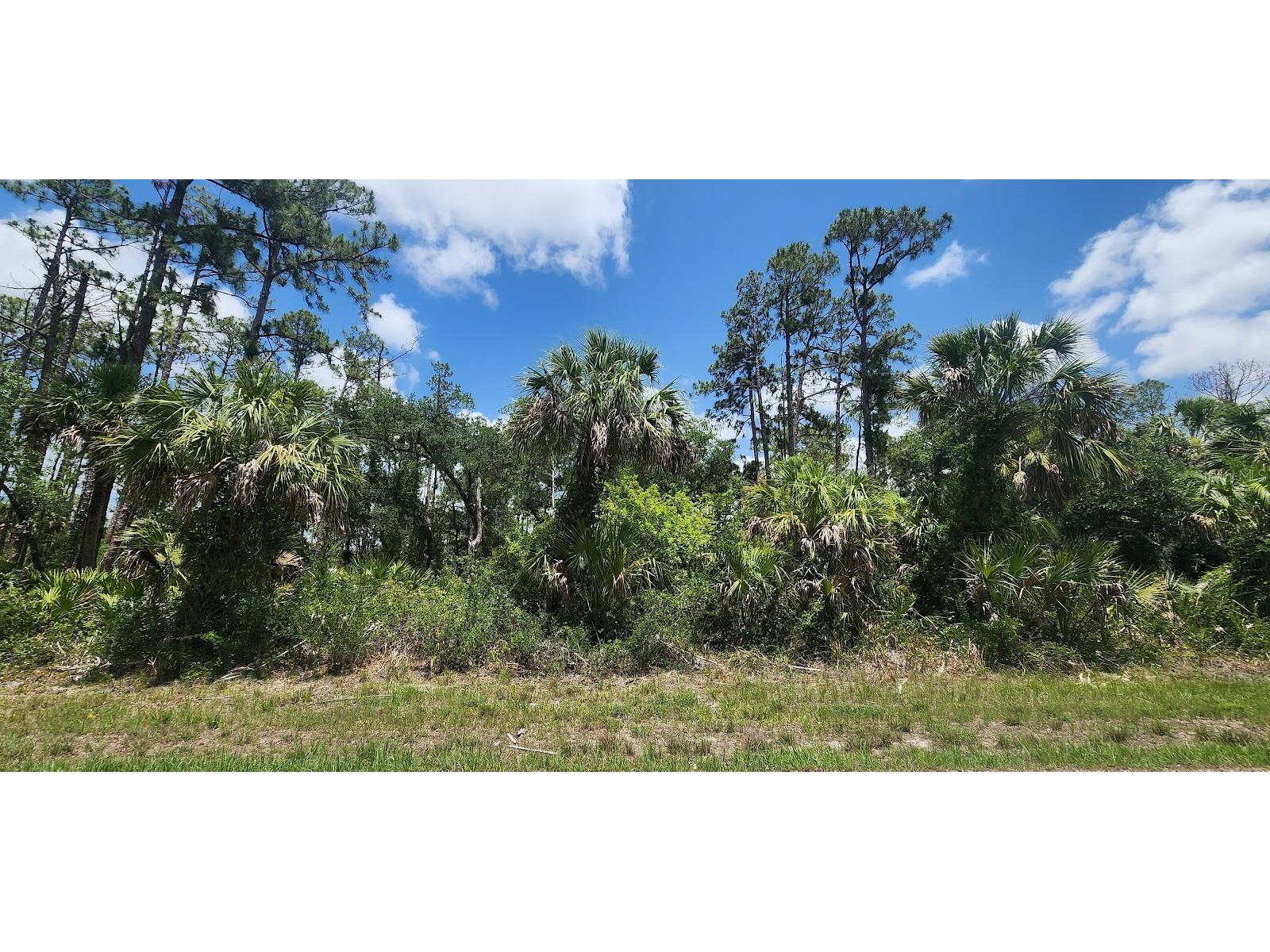 436 Hutchins Street Port Charlotte FL 33953 D6142624 image14