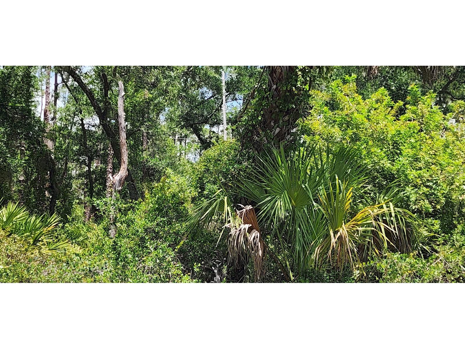 436 Hutchins Street Port Charlotte FL 33953 D6142624 image15