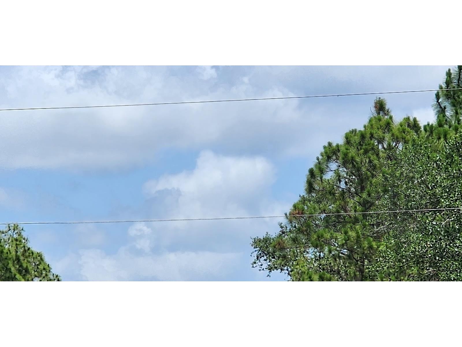 436 Hutchins Street Port Charlotte FL 33953 D6142624 image17