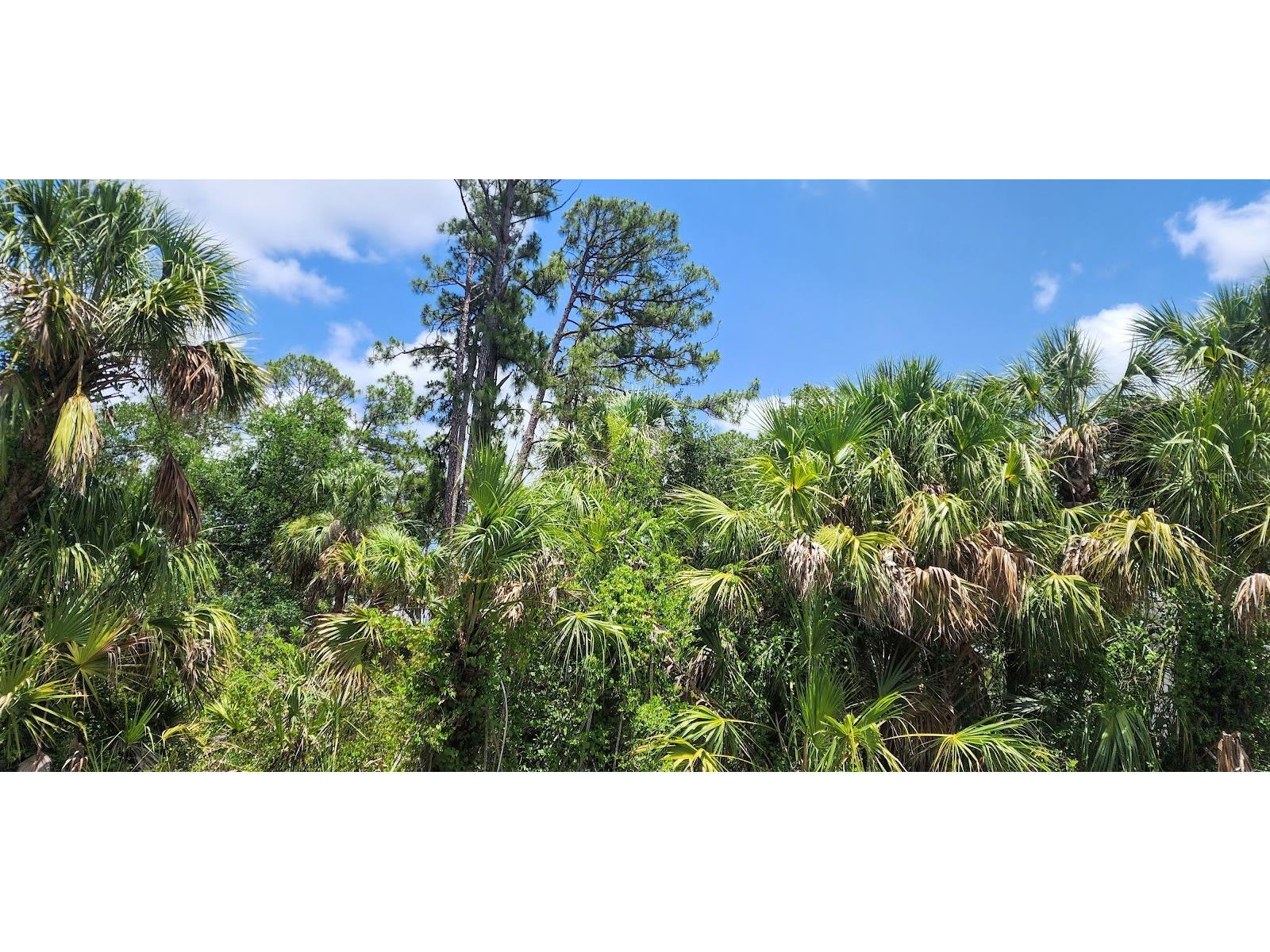 436 Hutchins Street Port Charlotte FL 33953 D6142624 image3