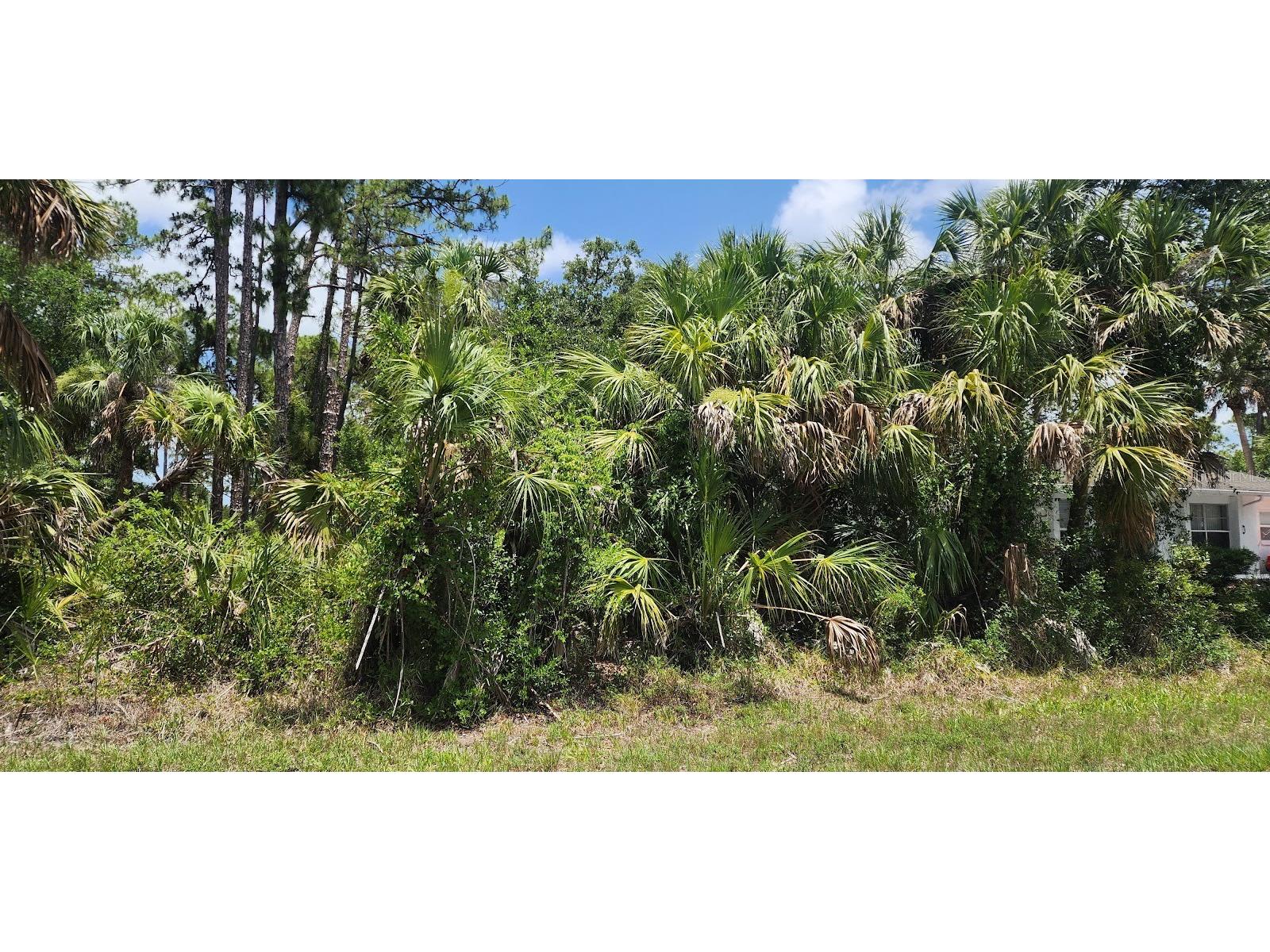 436 Hutchins Street Port Charlotte FL 33953 D6142624 image4