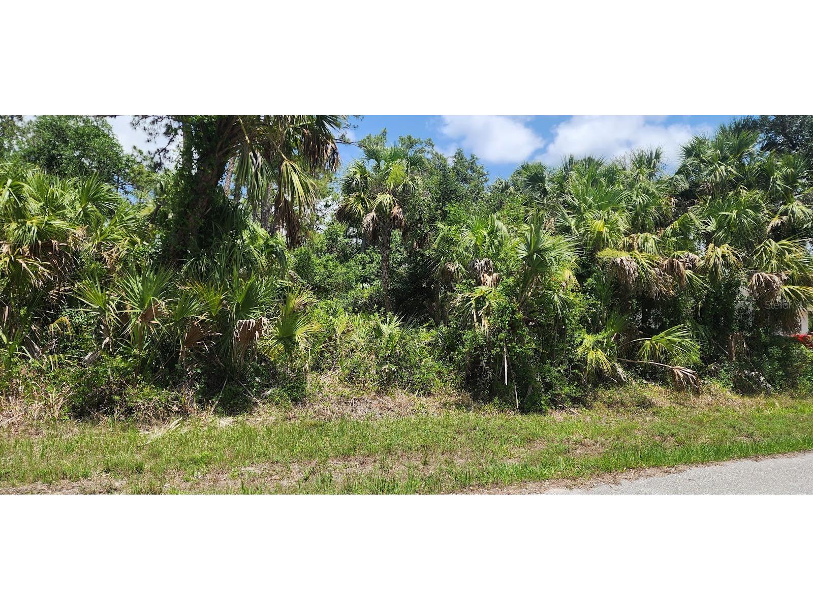 436 Hutchins Street Port Charlotte FL 33953 D6142624 image6