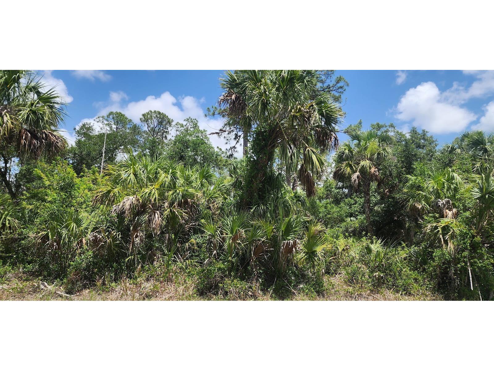 436 Hutchins Street Port Charlotte FL 33953 D6142624 image7