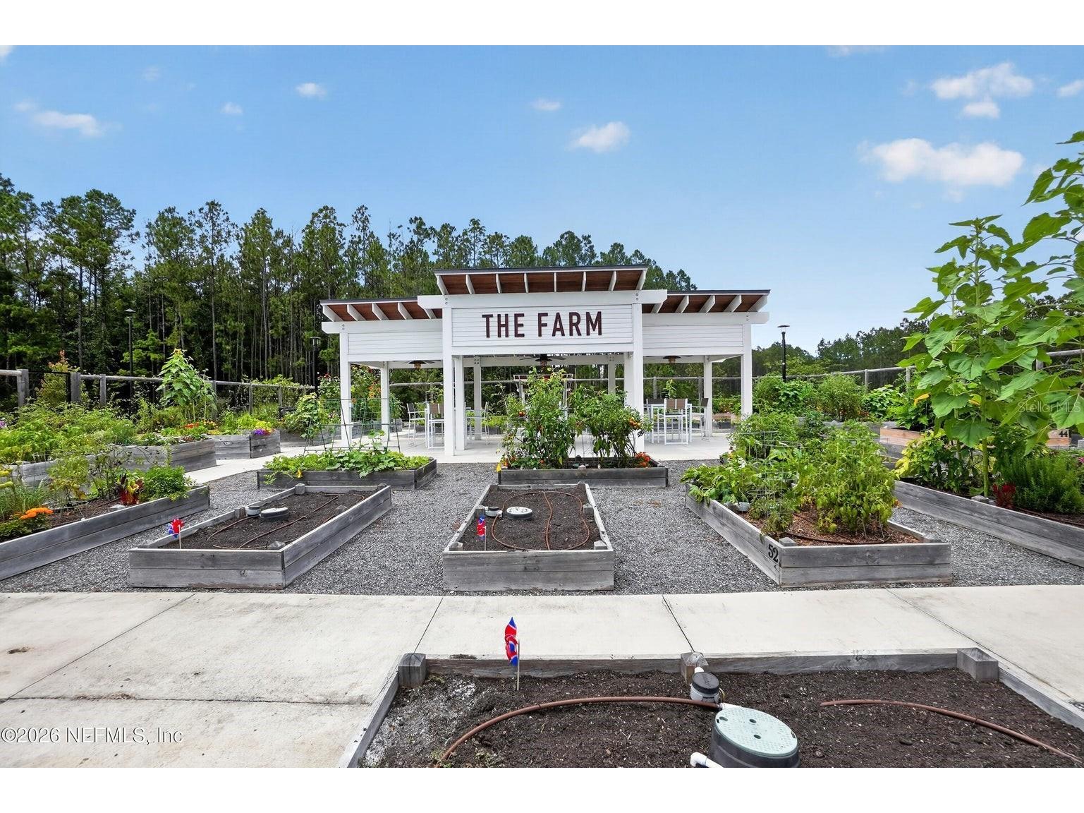 436 Jubilee Circle Yulee FL 32097 O6416593 image48