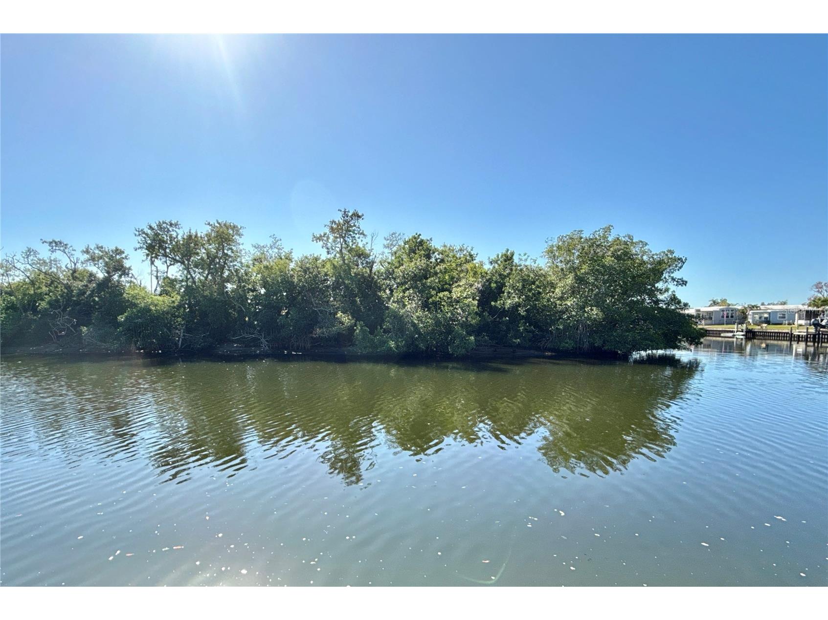 436 Mount Oak Avenue NE #747 Saint Petersburg FL 33702 - TAMPA BAY TB8471300 image1