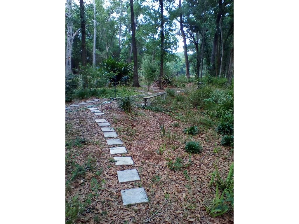 436 NE 61st Terrace Ocala FL 34470 OM712735 image30