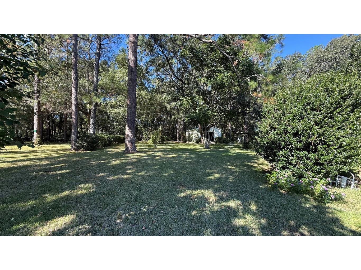 436 NE 61st Terrace Ocala FL 34470 OM712735 image32