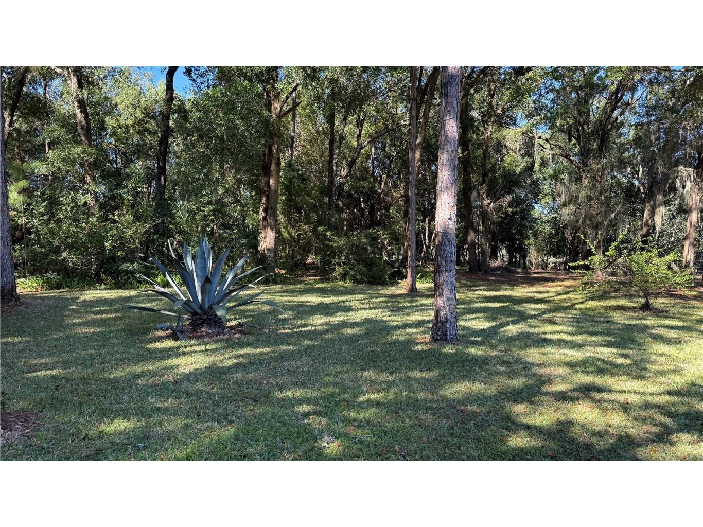 436 NE 61st Terrace Ocala FL 34470 OM712735 image34
