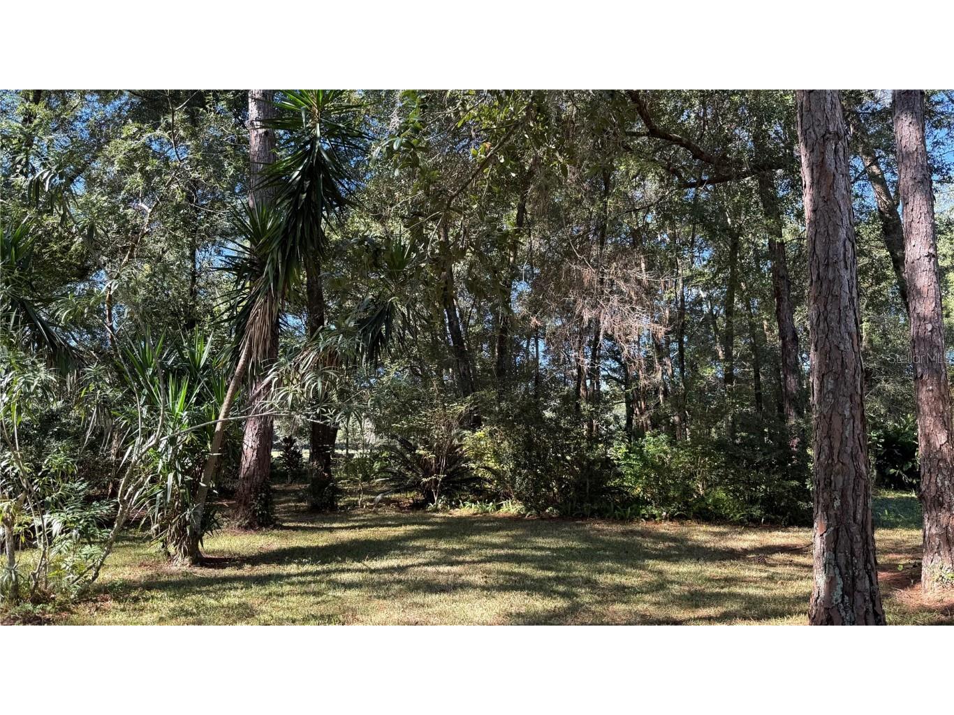 436 NE 61st Terrace Ocala FL 34470 OM712735 image35