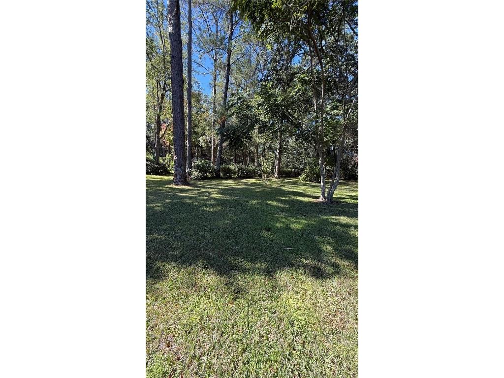 436 NE 61st Terrace Ocala FL 34470 OM712735 image36