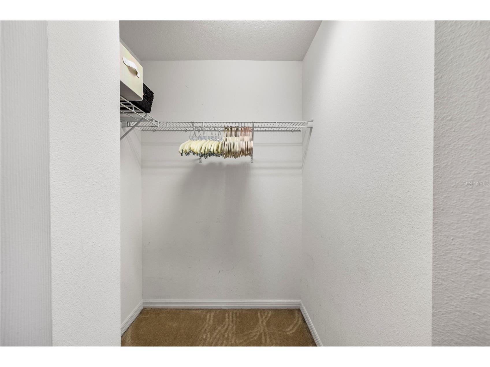 436 Orange Cosmos Boulevard Davenport FL 33837 TB8507217 image10