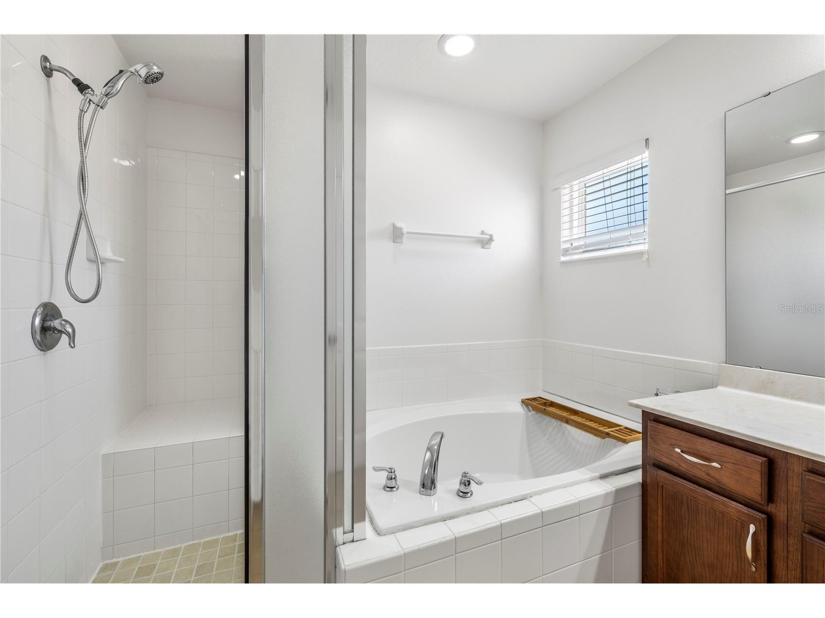 436 Orange Cosmos Boulevard Davenport FL 33837 TB8507217 image33