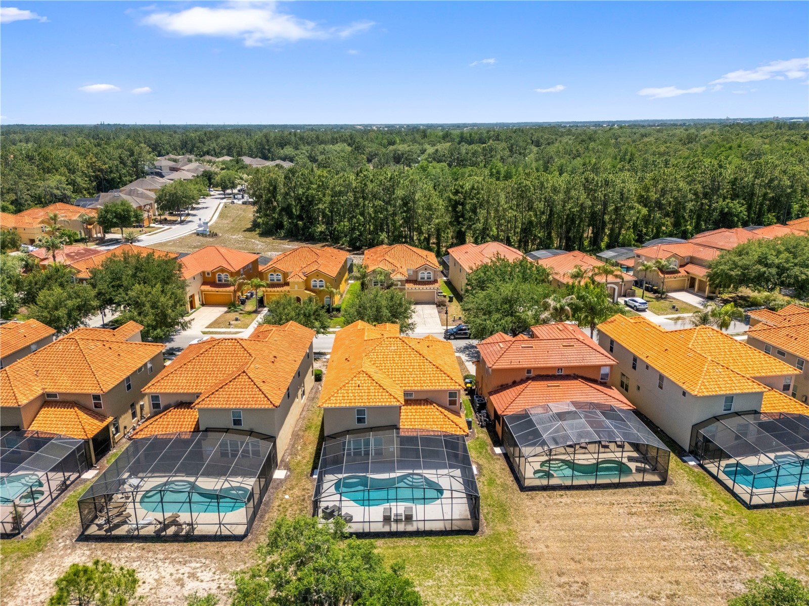 436 Orange Cosmos Boulevard Davenport FL 33837 TB8507217 image64