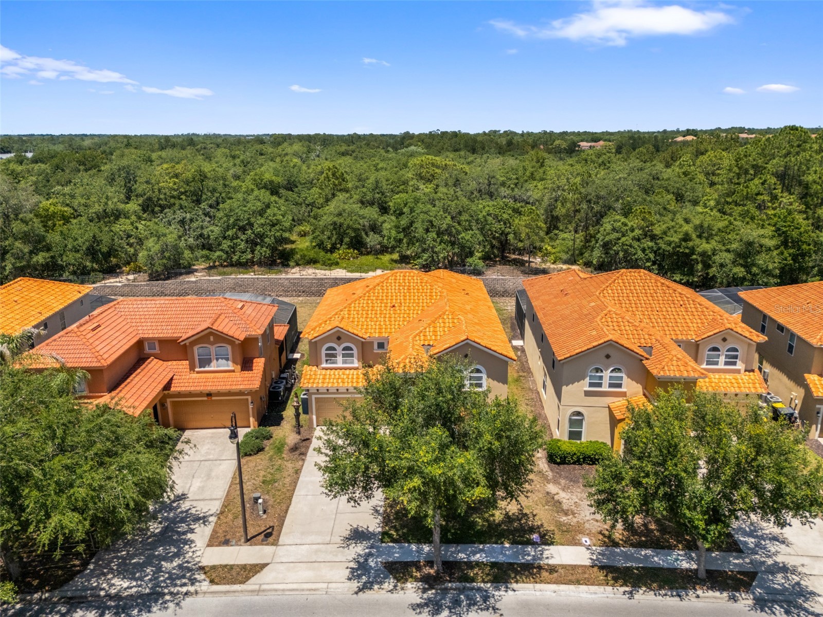 436 Orange Cosmos Boulevard Davenport FL 33837 TB8507217 image68