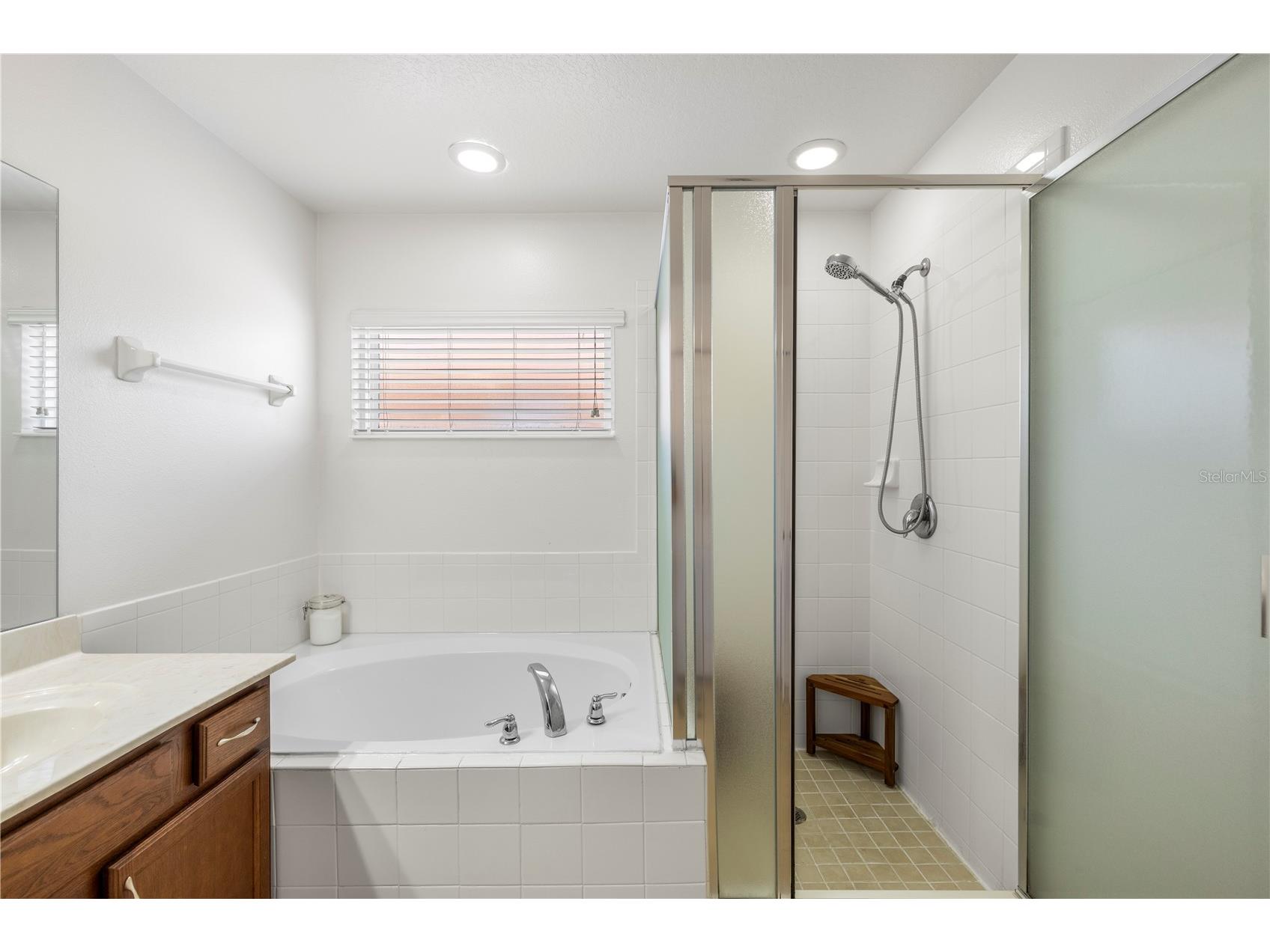 436 Orange Cosmos Boulevard Davenport FL 33837 TB8507217 image9