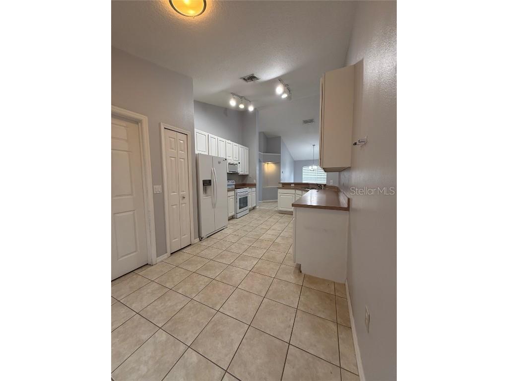 436 Saddle Ridge Drive Davenport FL 33896 S5137028 image23