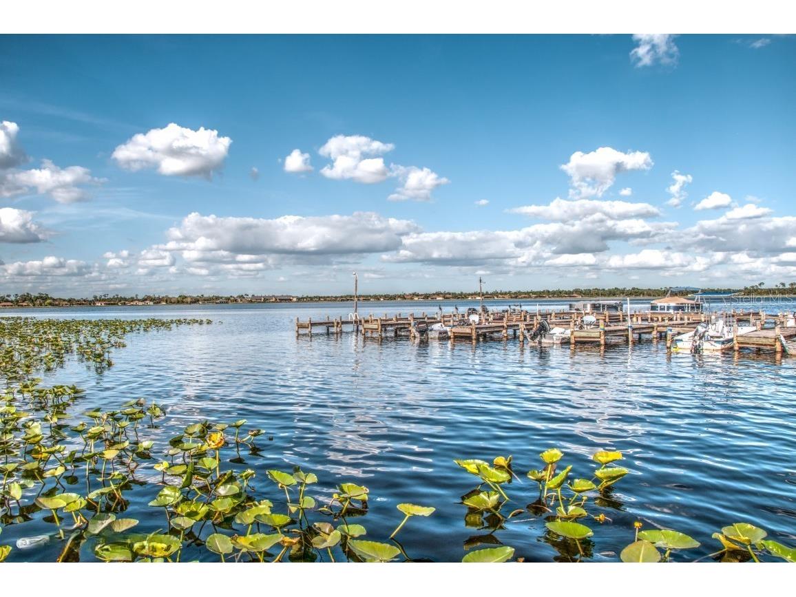 4360 Ashton Club Drive Lake Wales FL 33859 - LAKE ASHTON P4937593 image100