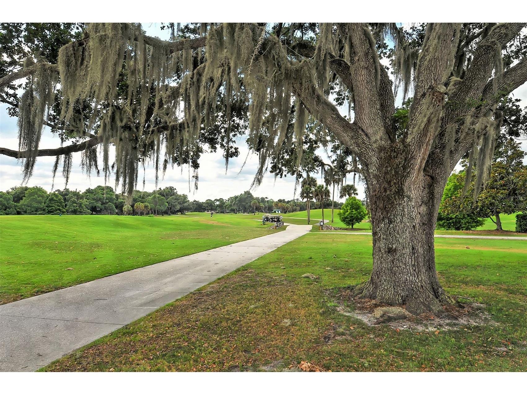 4360 Brandywine Drive Sarasota FL 34241 A4698844 image46