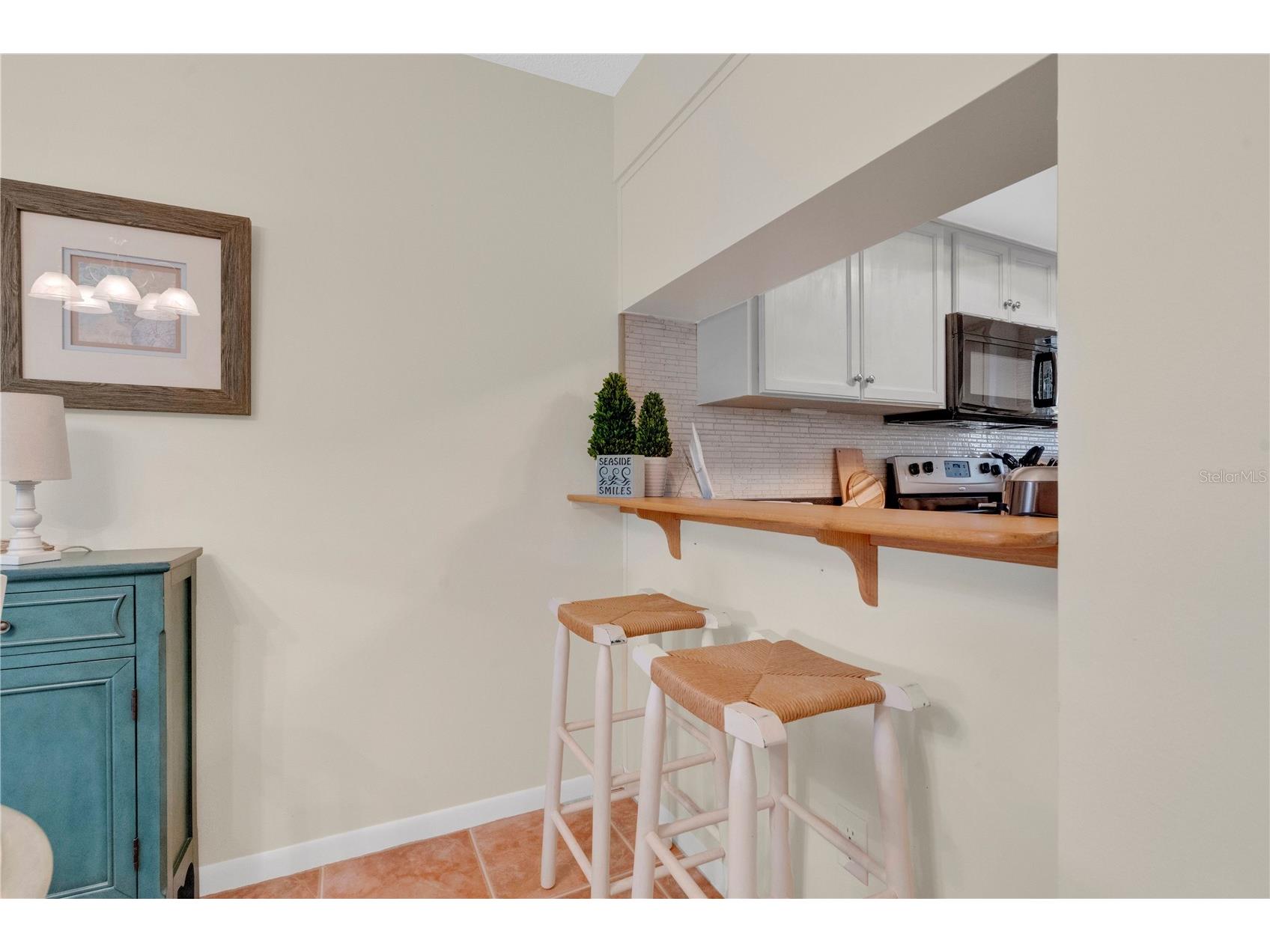 4360 Sea Mist Drive New Smyrna Beach FL 32169 NS1088563 image11