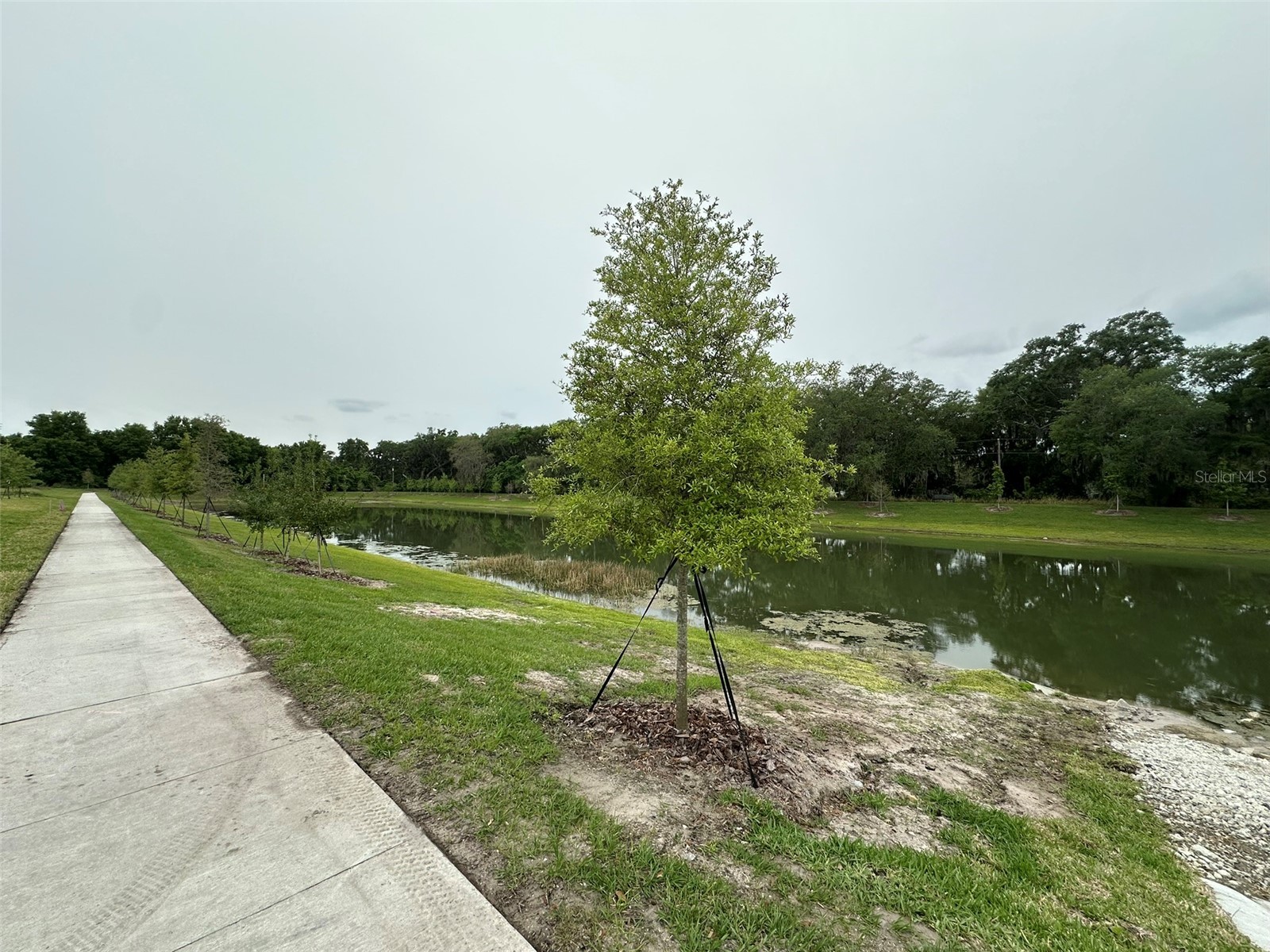 4361 Campsite Loop Orlando FL 32824 O6411772 image27